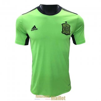 Maillot Espagne Gardien De But Green 2021/2022